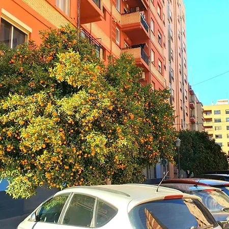 Nuevo Costa Del Alma * 발렌시아