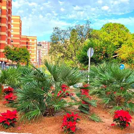 Nuevo Costa Del Alma 발렌시아