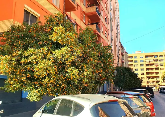 Nuevo Costa Del Alma * 발렌시아