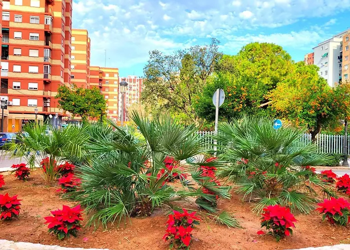 Nuevo Costa Del Alma 발렌시아